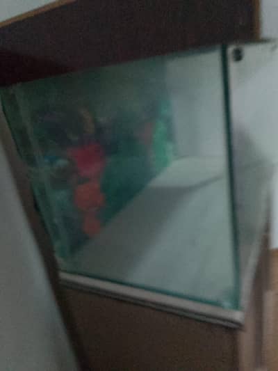 Fish aquarium for sale urgent