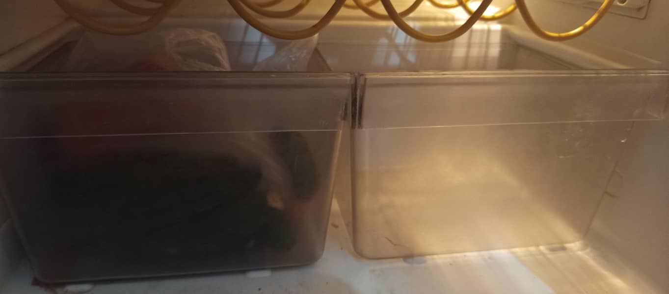 refrigerator 4