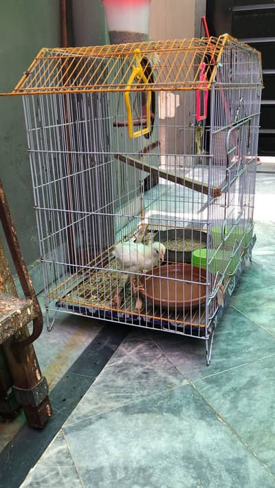 cheap rabbit cage