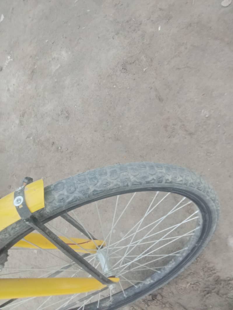 bicycle 2