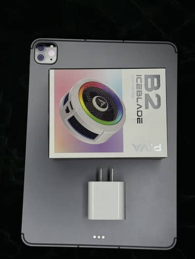 Ipad Pro M1 256/GB