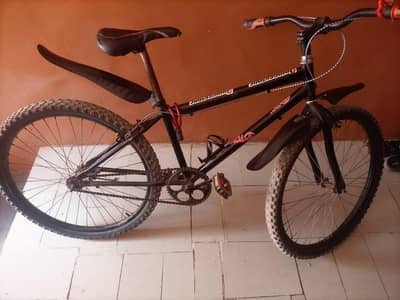 Cycle