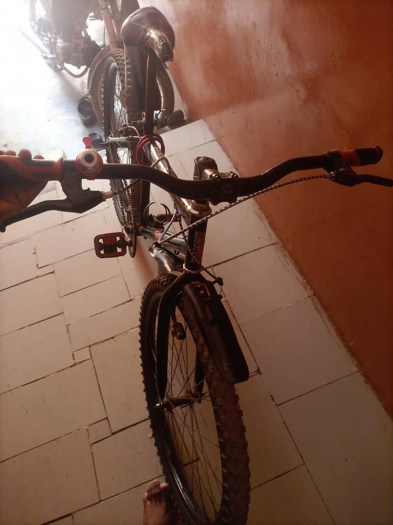 Cycle 2