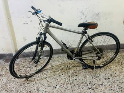 Giant bicycle