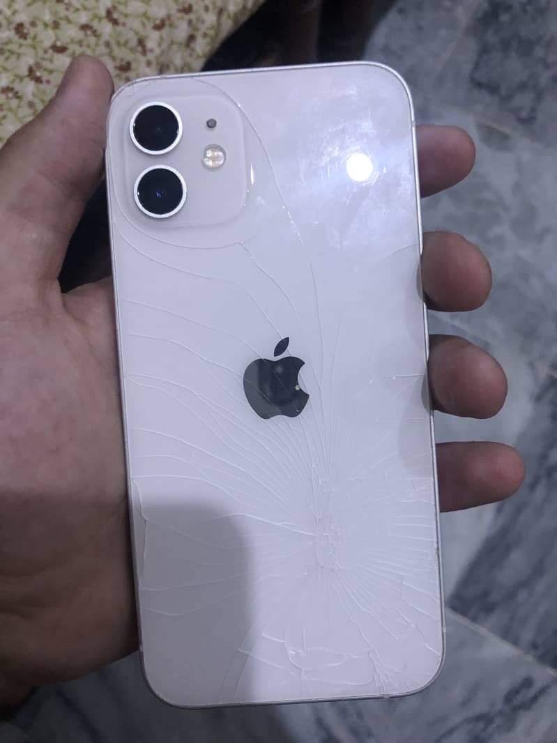 Apple iPhone 12 1