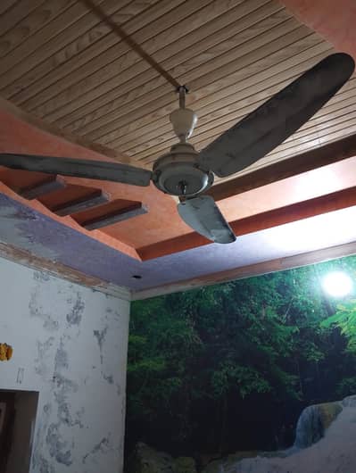 Seeling Fan pure copper