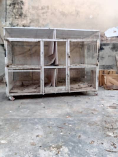 Iron Pinjra cage for aseel & other hens with wheels