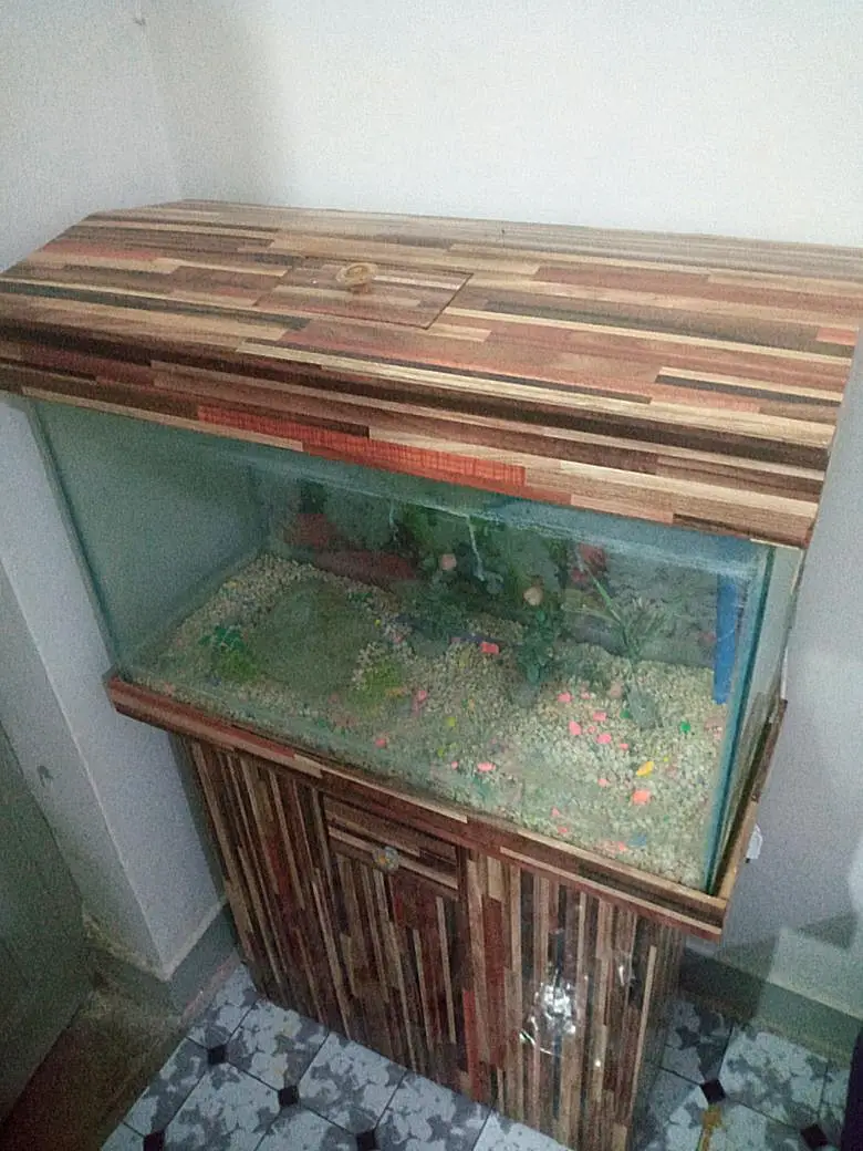 Fish Aquarium — photo 2