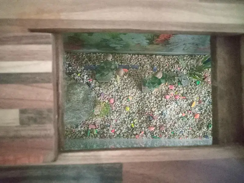 Fish Aquarium — photo 3
