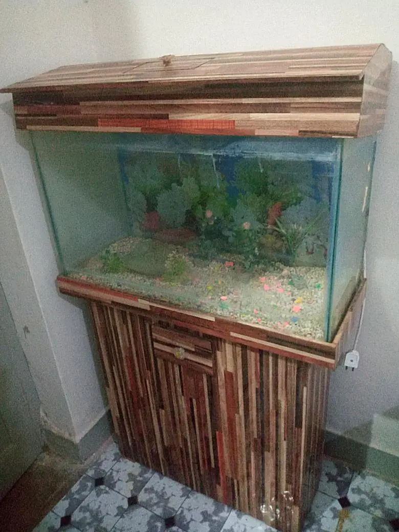 Fish Aquarium — photo 5