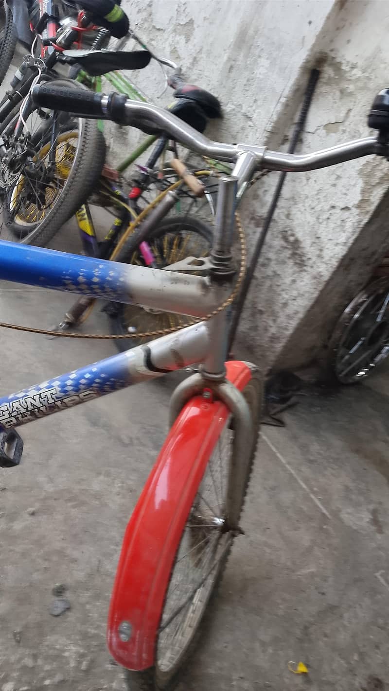 Bicycle  3