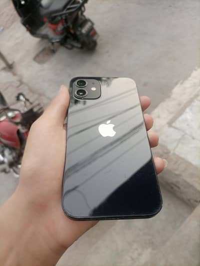 Apple iPhone 12