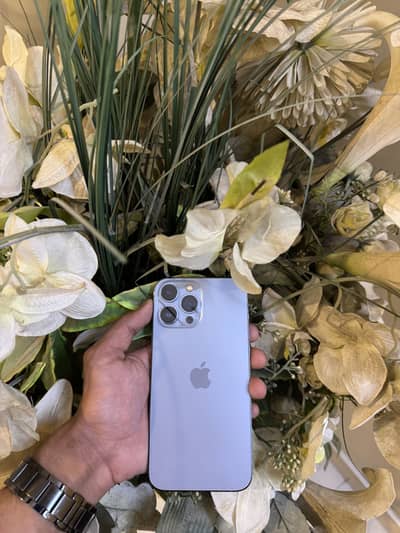 Apple iPhone 13 Pro Max