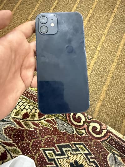 iPhone 12