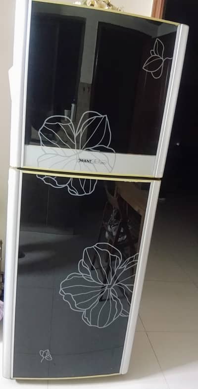 Best House use Fridge