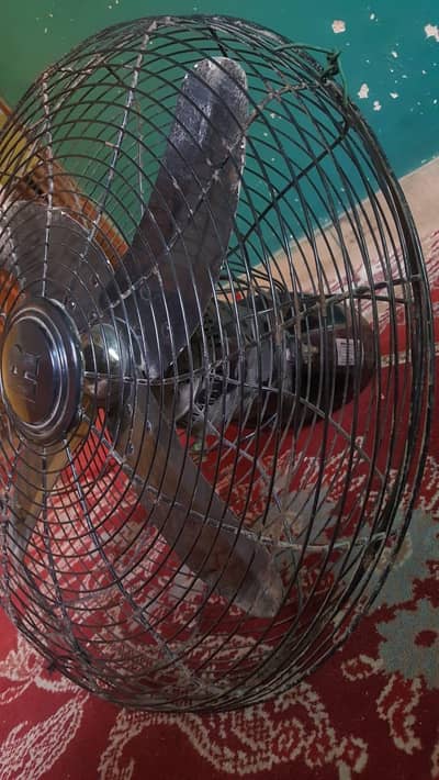 Royal fan