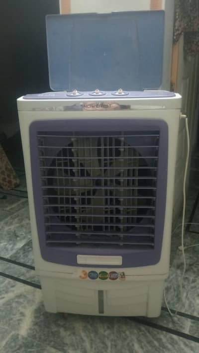Room Cooler Available Used One Season Only