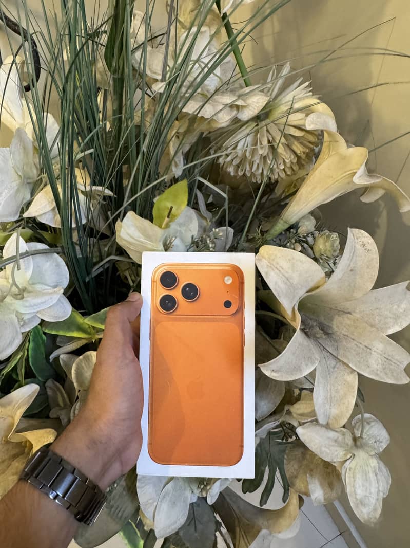 IPhone 17 Pro Max 0