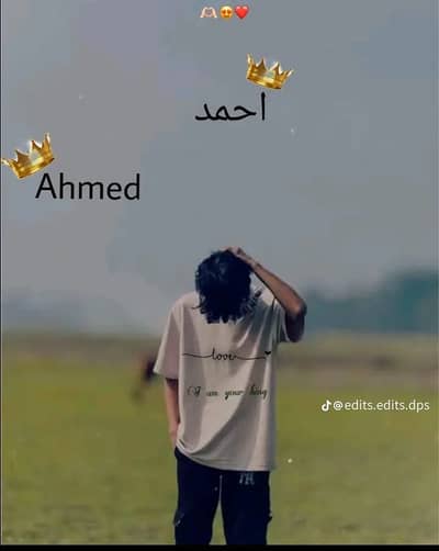 Hamid 