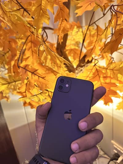 Apple iPhone 11