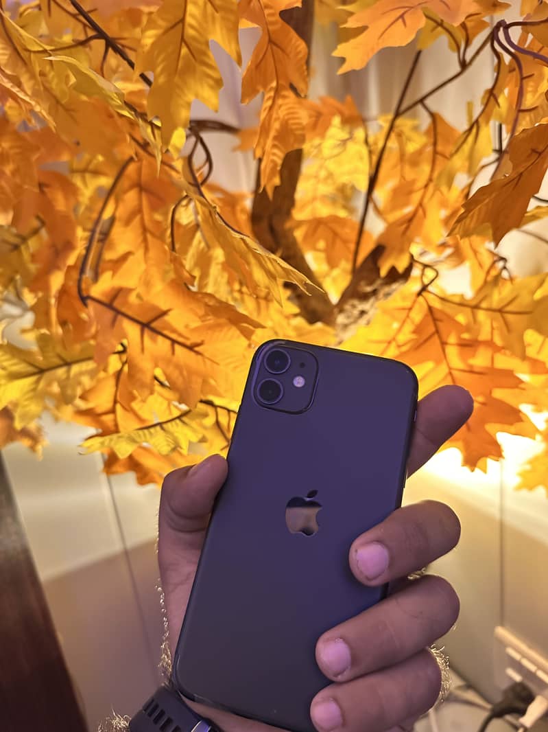 Apple iPhone 11 0