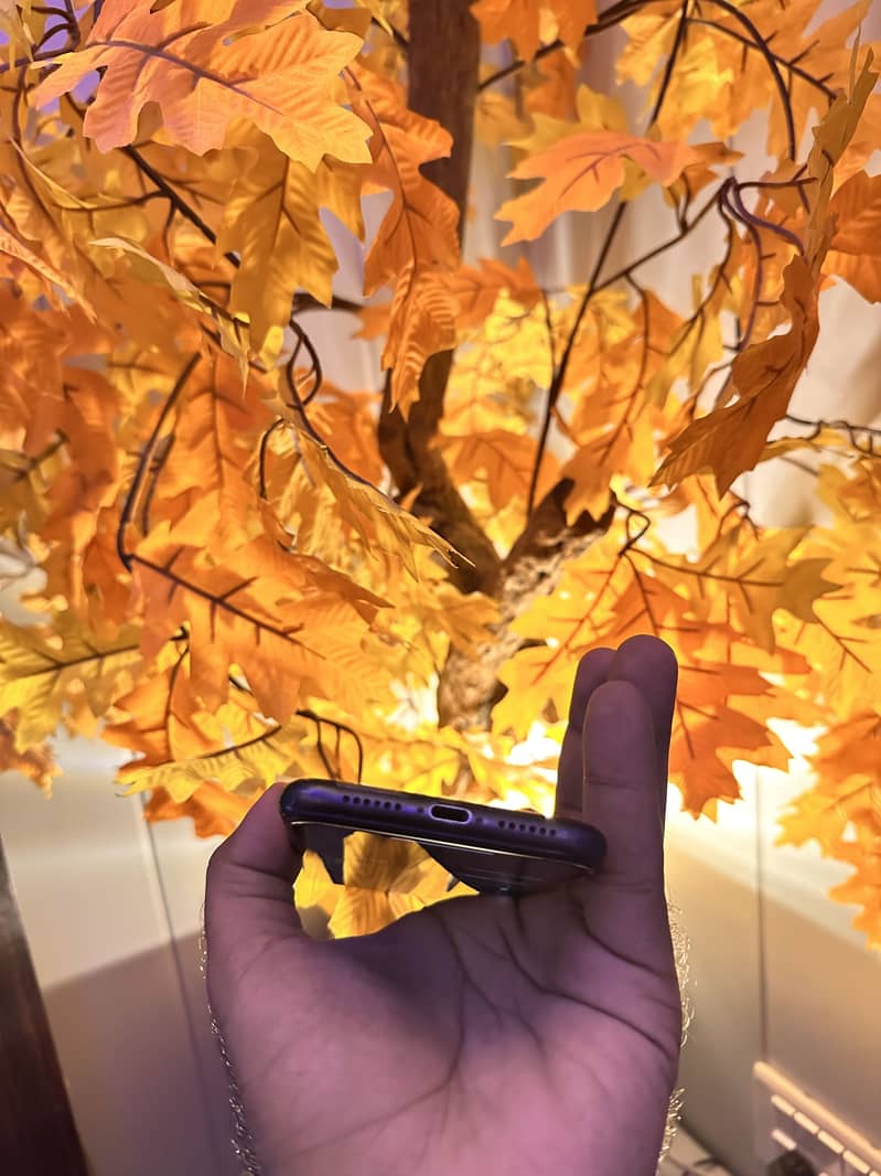 Apple iPhone 11 2