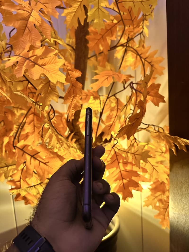 Apple iPhone 11 4