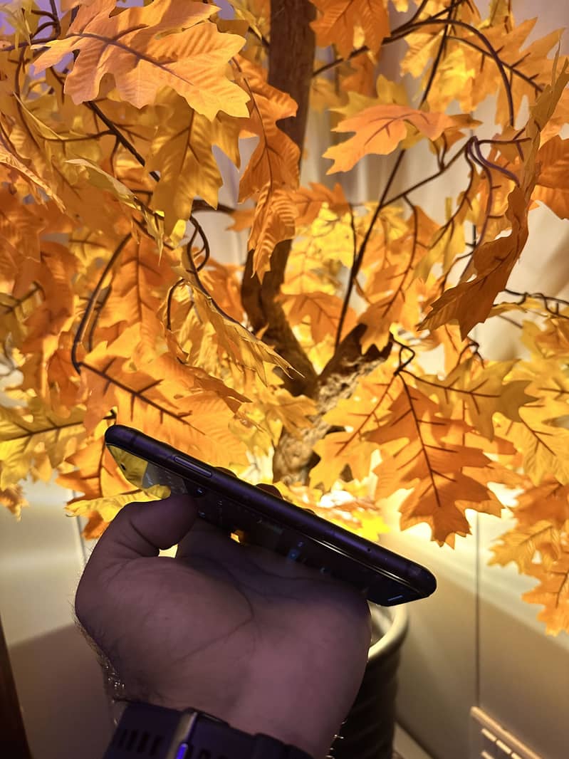 Apple iPhone 11 5