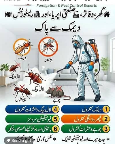 Dengue Spary | Termite Control | Deemak spray |Fumgation|Pest control