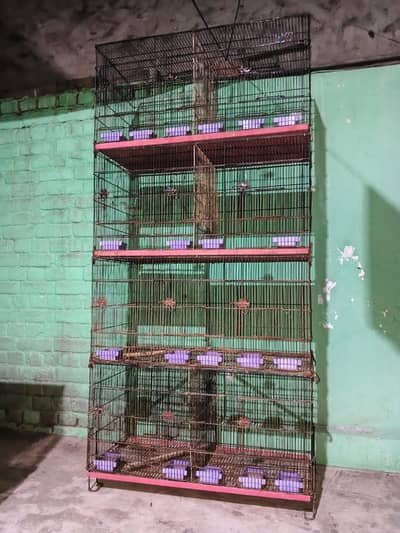 solid cages