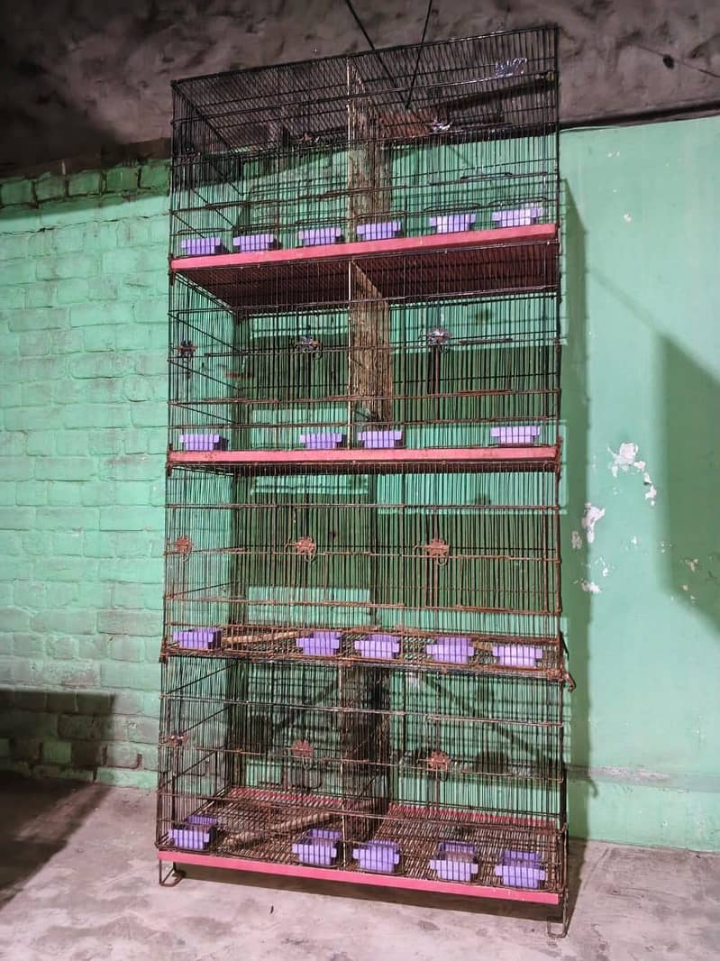 solid cages 0