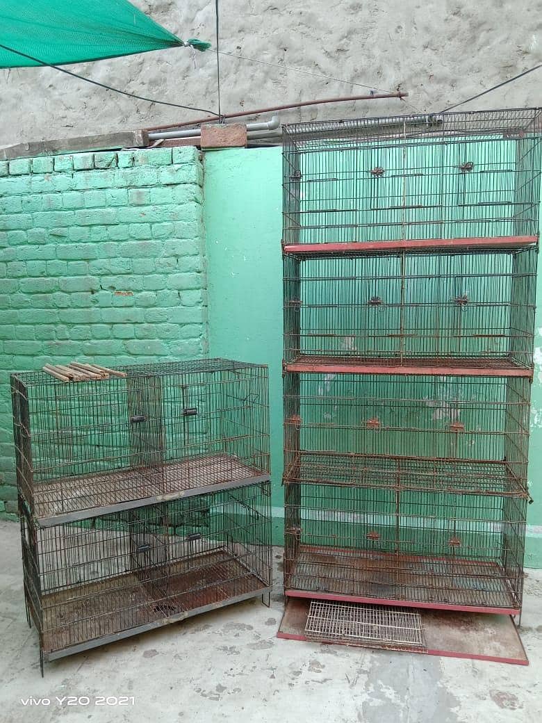 solid cages 1