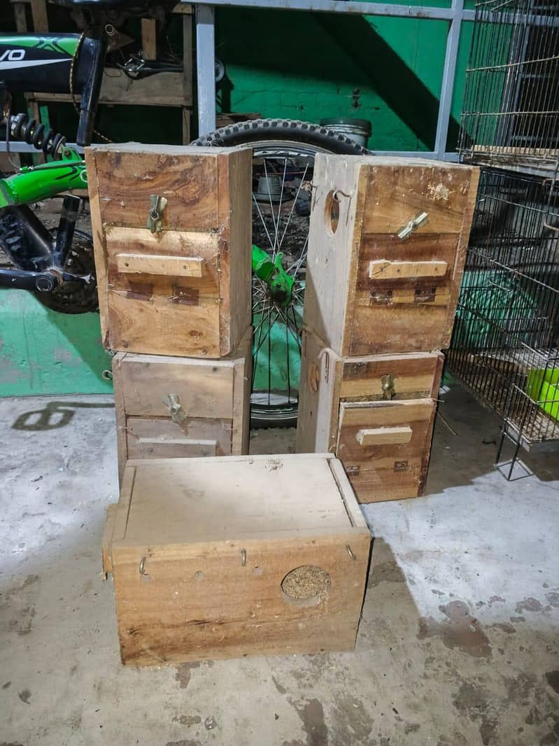 solid cages 2