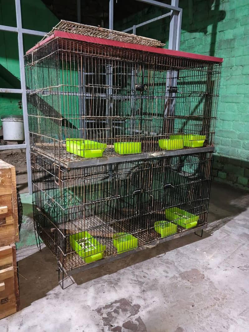 solid cages 3