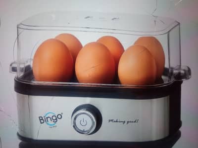 egg boiler