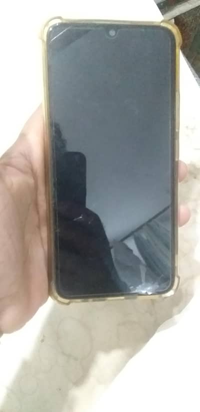 Vivo. y. 11