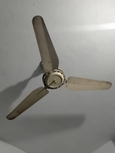 Celling Fan (Coper Winding)
