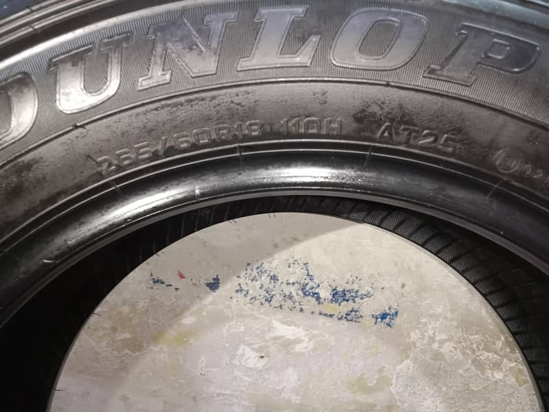 New Tyre 4