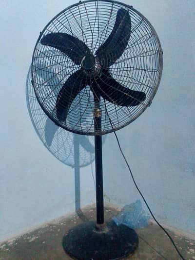 royal fan