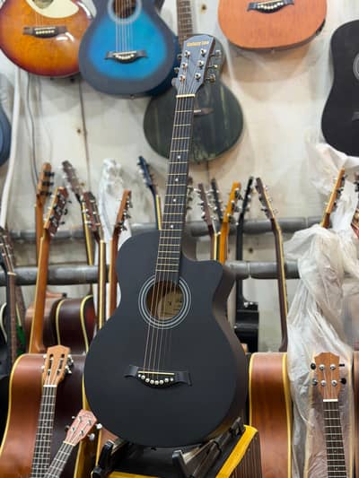 branded acoustic guitar order 03149367007