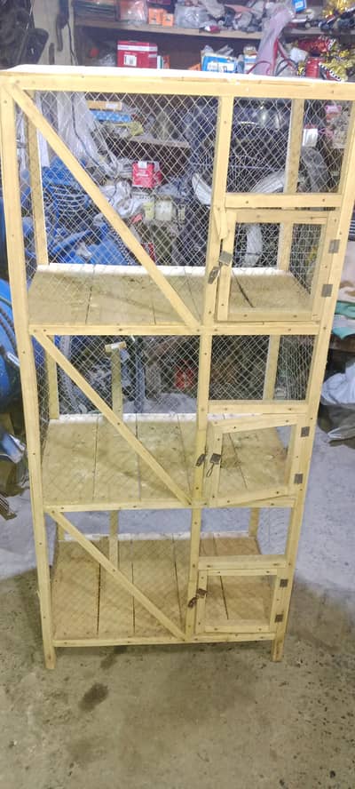 birds  house
