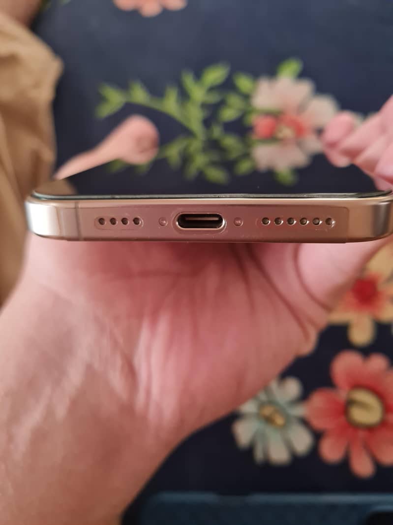 Apple iPhone 16 Pro Max 1