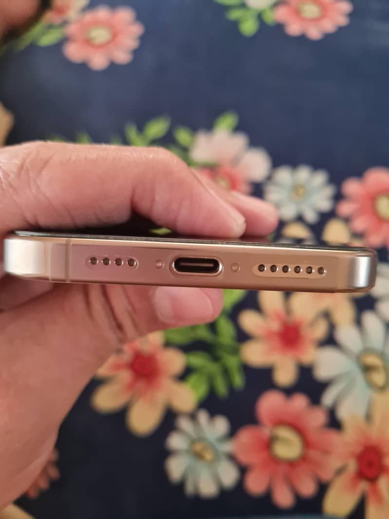 Apple iPhone 16 Pro Max 2