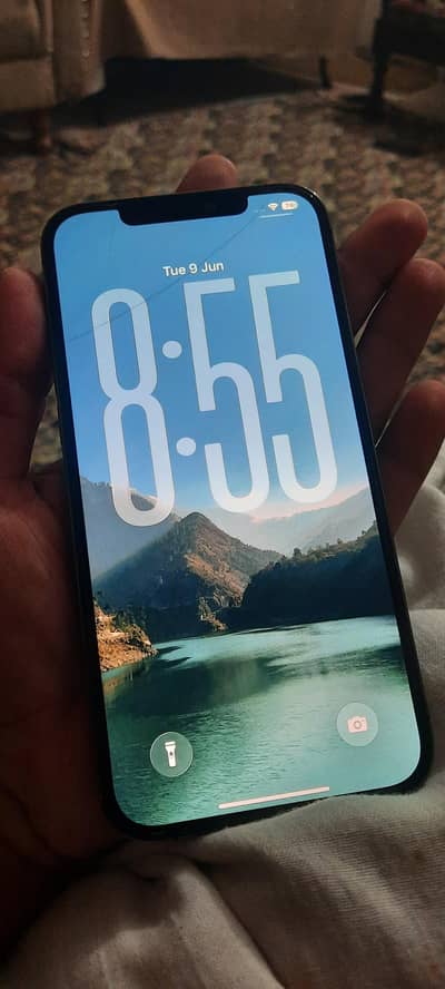 Apple iPhone 12 Pro Max