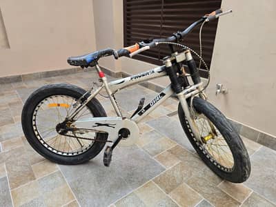 phoenix kids bicycle
