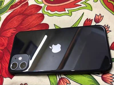 Apple iPhone 11 water pack