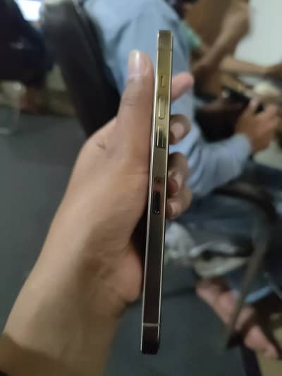 12 Pro Max Jv
