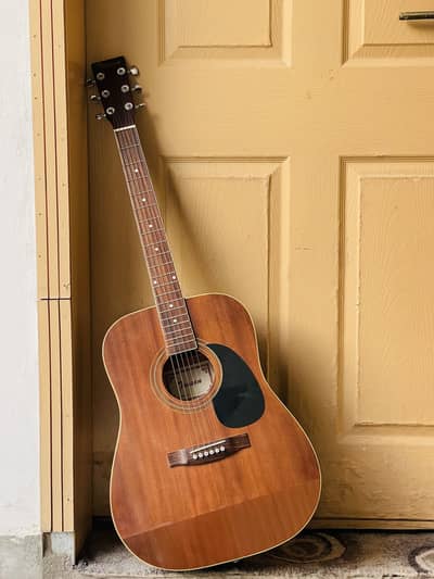Acoustic guitar