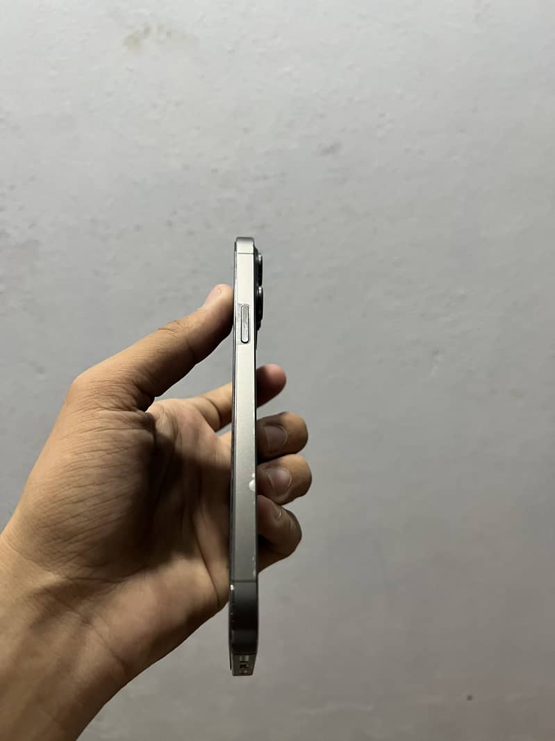 Apple iPhone 13 Pro Max 1