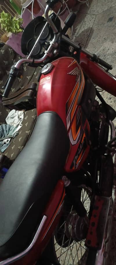 Hond pridor 2023 model 0333**1546**747